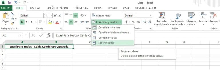 Como dividir una celda en Excel