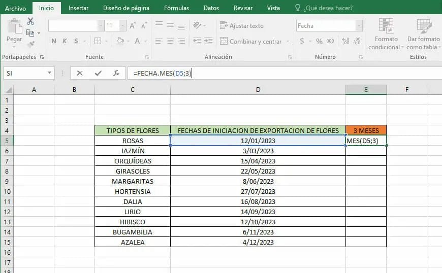 Sumar meses a una fecha en Excel - Paso 3